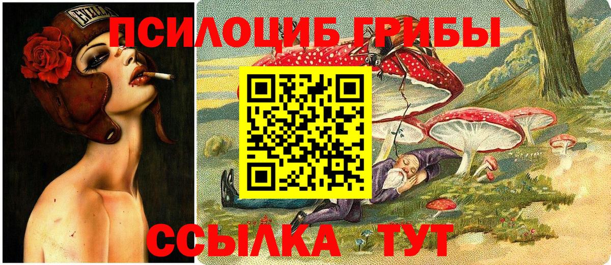 Магадан  Псилоцибиновые грибы MAGIC MUSHROOMS  Вход с VPN  Псилоцибиновые грибы GOLDEN TEACHER 