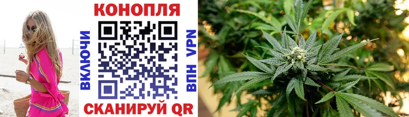 купить наркотики цена  Магадан  Бошки Шишки планчик 